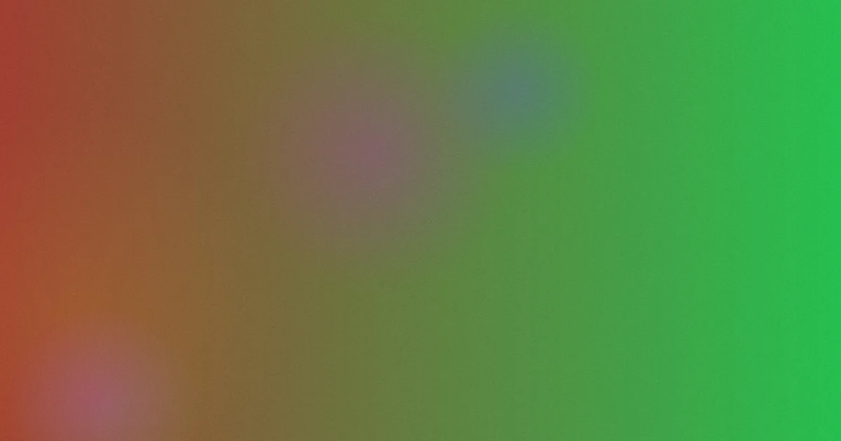毛片在线看推荐：新手先看这篇